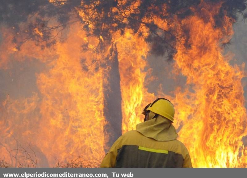 GALERIA DE IMÁGENES  - INCENDIO FORESTAL EN LA VALL