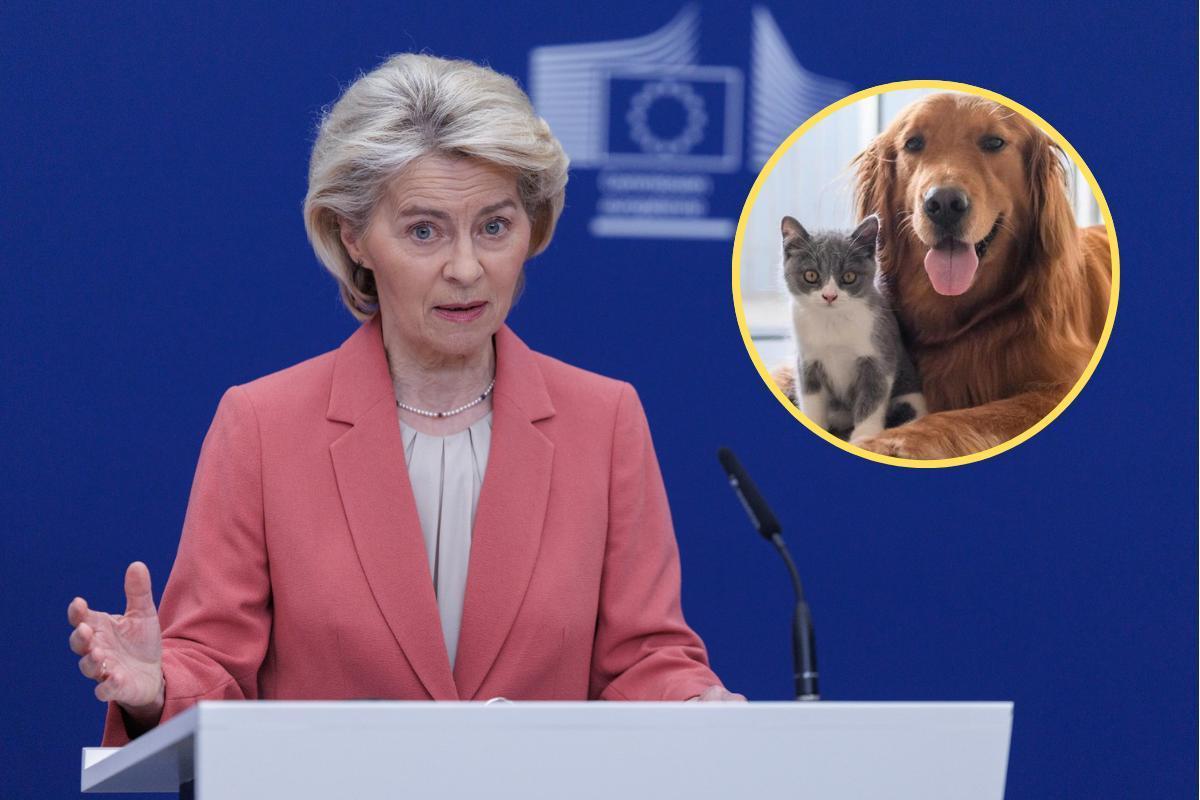 La UE endurece las normas para viajar con perros y gatos el requisito obligatorio desde el 22 de abril