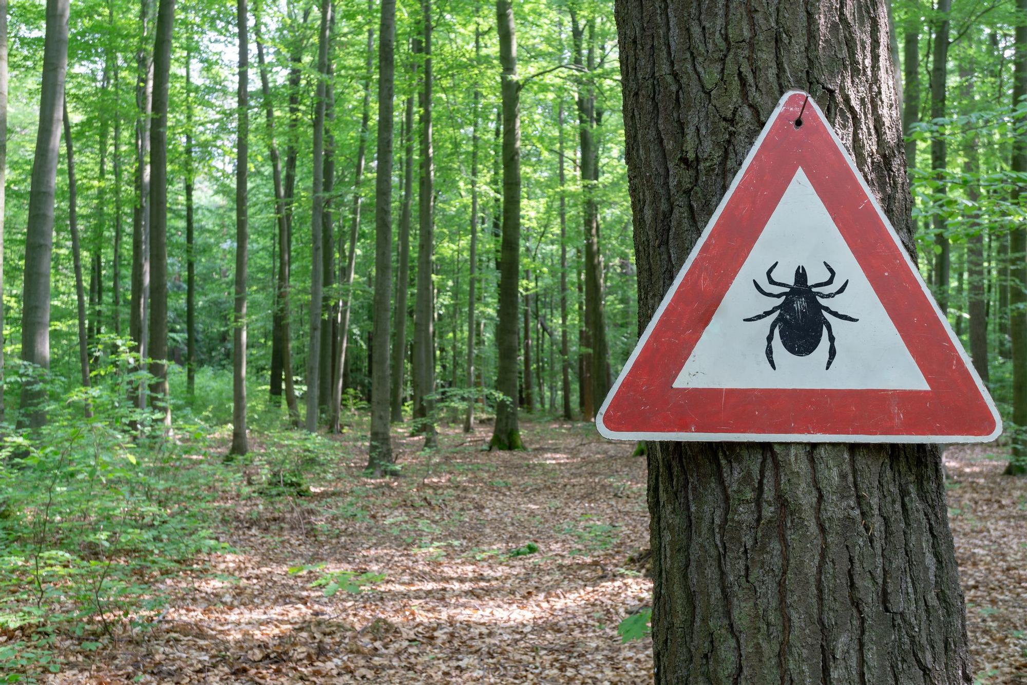 Señal de advertencia ante garrapatas en un bosque