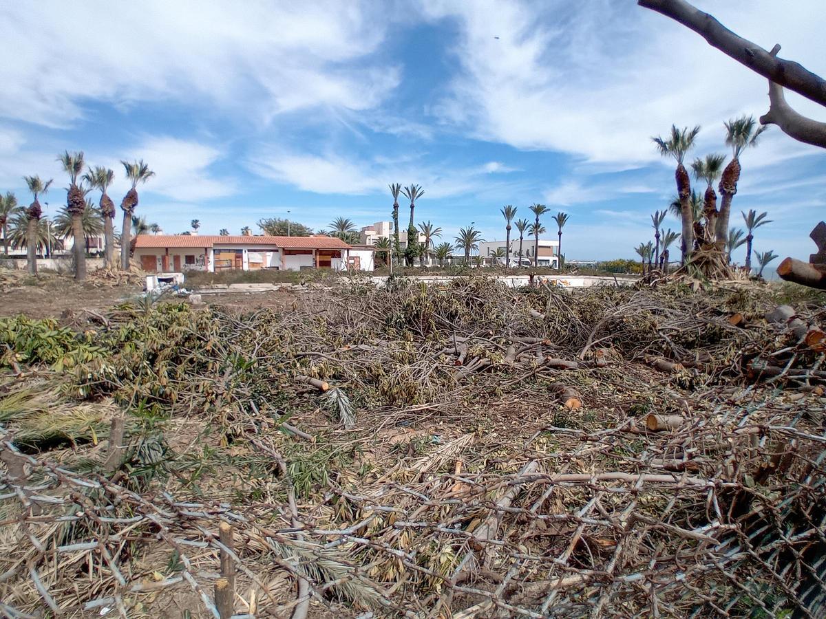 Trabajos de limpieza en una parcela de uso hotelero en La Veleta de Torrevieja