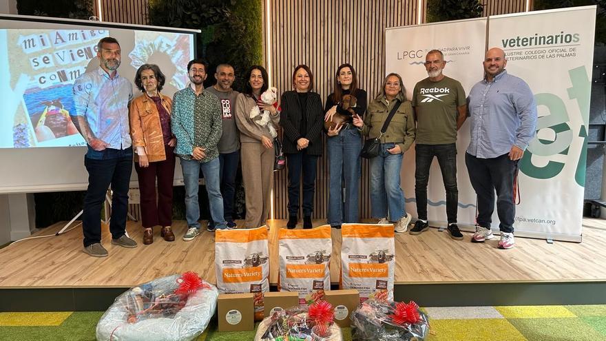 Un perro salchicha, un dálmata y un bichón maltés, ganadores del concurso de fotografía 'Mi amigo se viene conmigo’