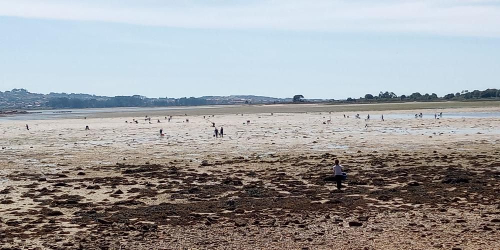 Marisqueo en Arousa