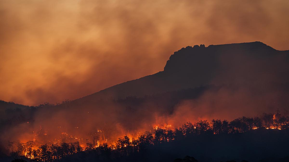 Incendio forestal.