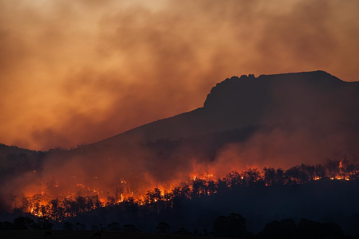 Incendio forestal.