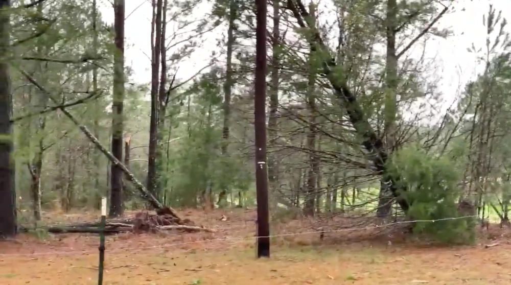 Un tornado causa almenys 23 morts a Alabama