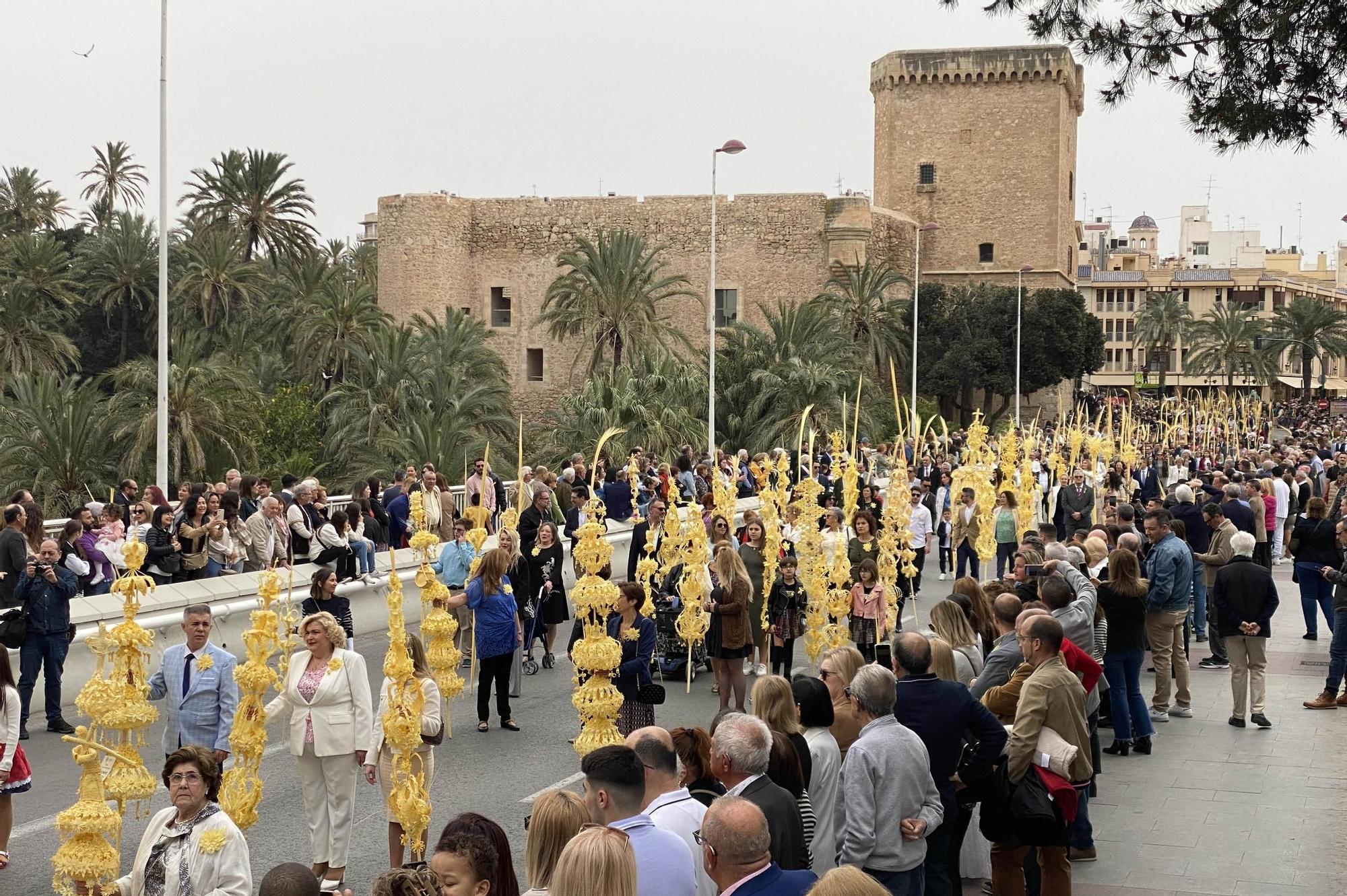 Miles de palmas blancas llenan Elche de tradición