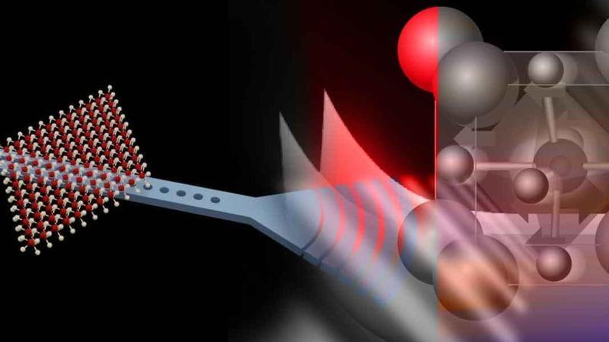 Físicos de Penn crean partículas híbridas de luz y materia para computación avanzada