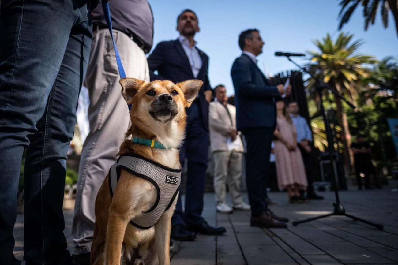 Presentación de las actividades del Día de los Animales Santa Cruz