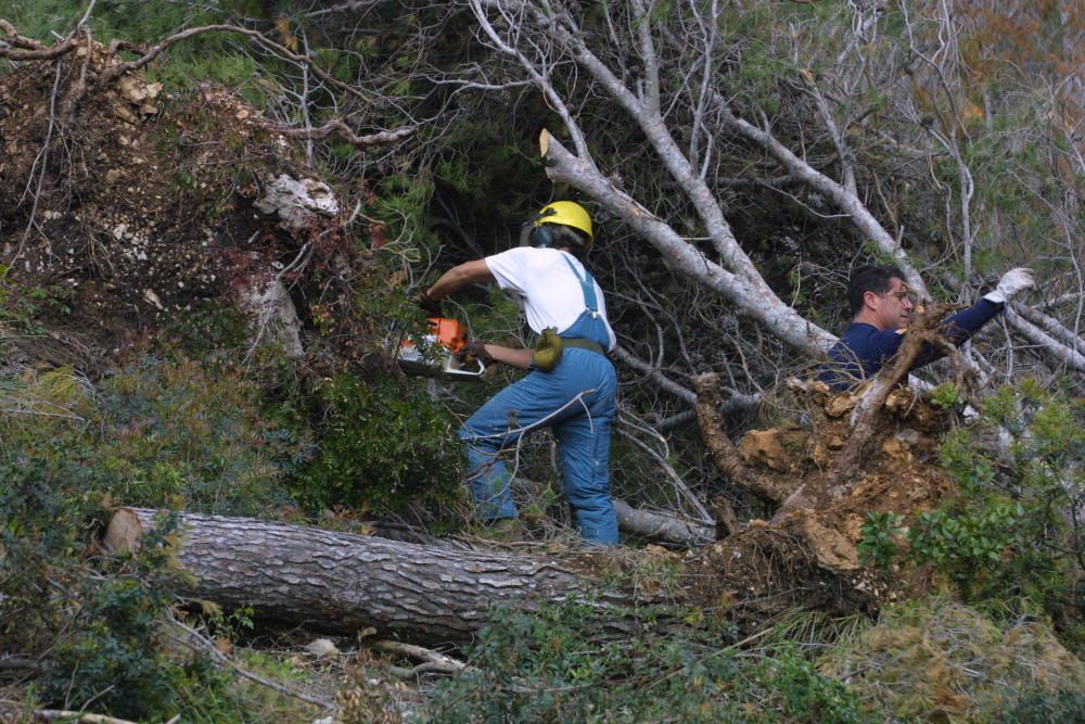 15 años del peor temporal de Mallorca (noviembre de 2001)