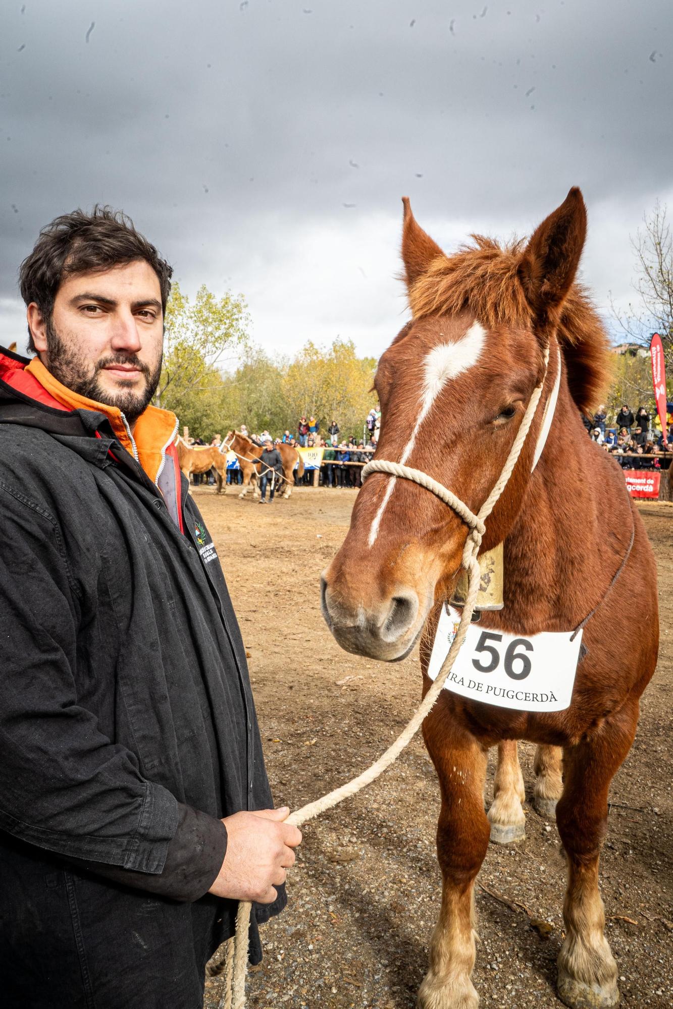Totes les imatges de la Fira del Cavall de Puigcerdà