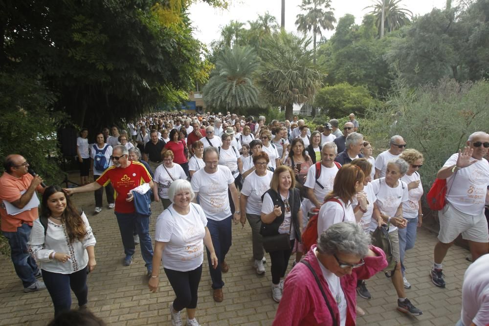 Paseo saludable por el Día Internacional de las Personas Mayores