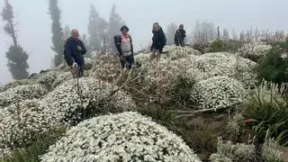 Ruta por la cumbre de Gran Canaria en mayo de 2026.