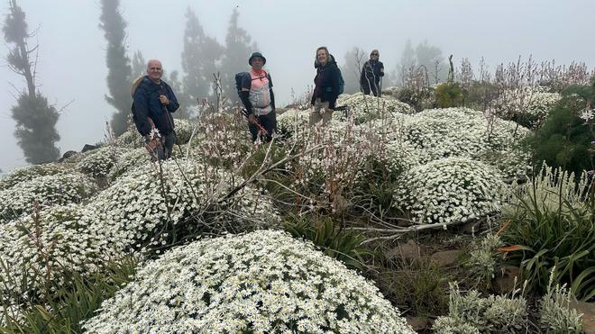 Ruta por la cumbre de Gran Canaria en mayo de 2026.
