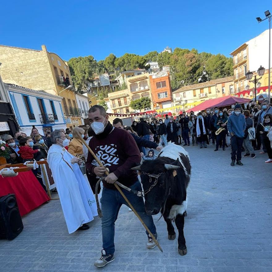 Sant Antoni en el Camp de Morvedre.