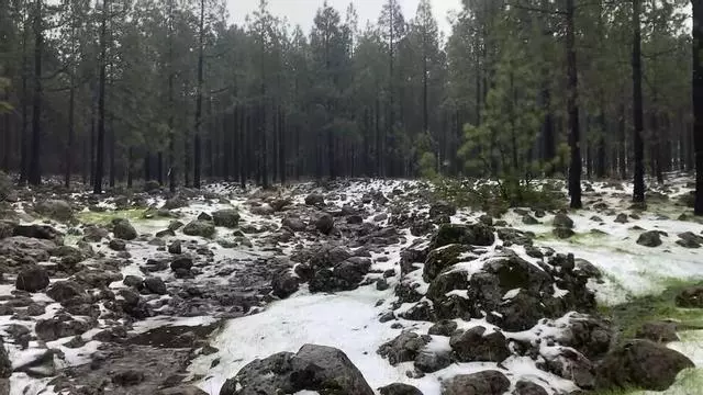 Así quedó la cumbre de Gran Canaria tras la borrasca Emilia (13/12/25)