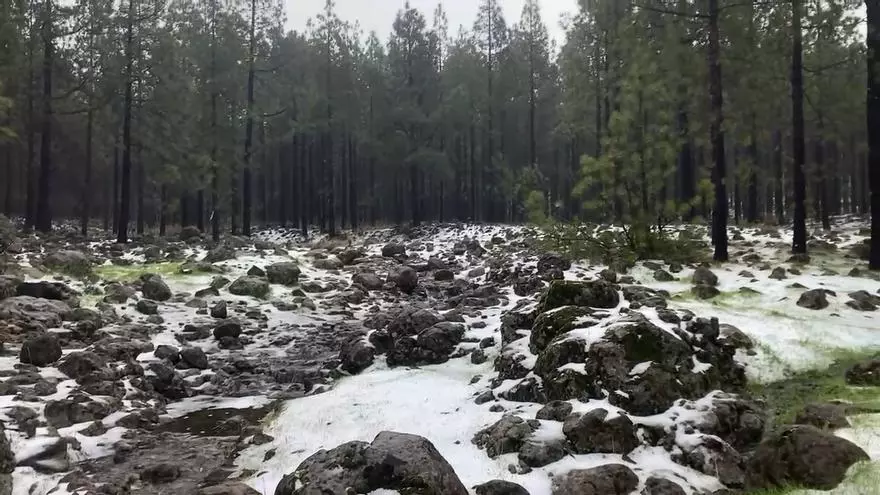 Así quedó la cumbre de Gran Canaria tras la borrasca Emilia (13/12/25)