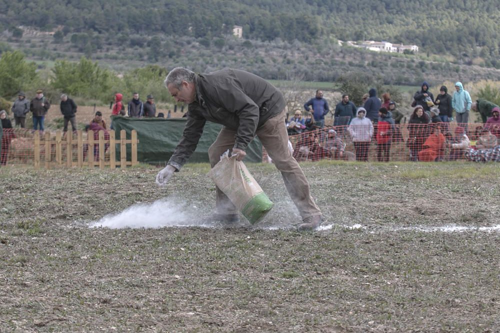 «Concurs de Gossos de Ramat» de Agres.