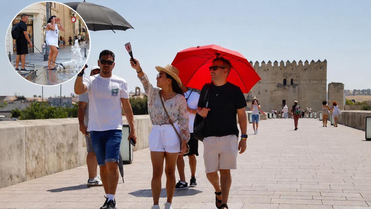 En la imagen grande, un grupo de turistas pasea por el Puente Romano bajo paraguas para protegerse del sol. En la imagen pequeña, un perrito se refresca en una fuente cordobesa.