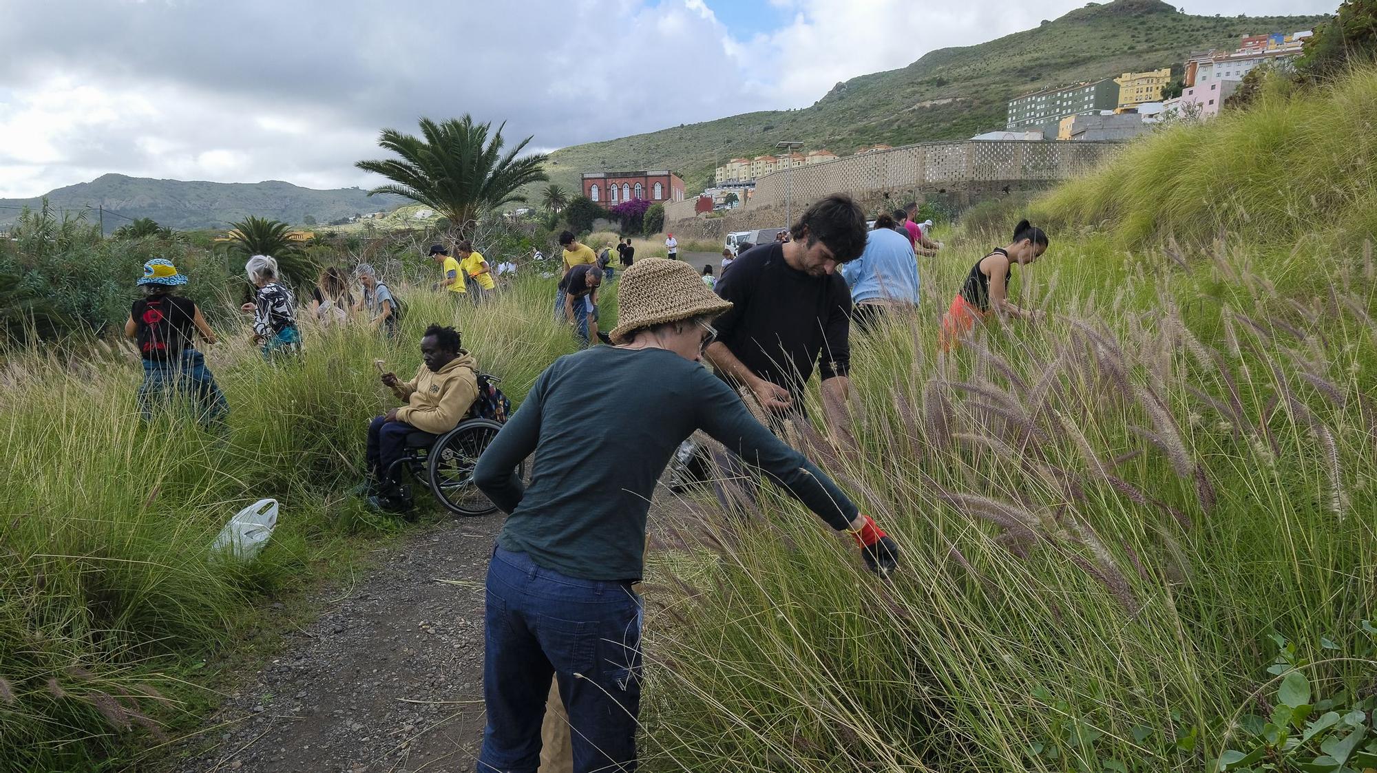 La Sinfónica de Bamberg participa en una reforestación simbólica en Tamaraceite para compensar su huella de carbono