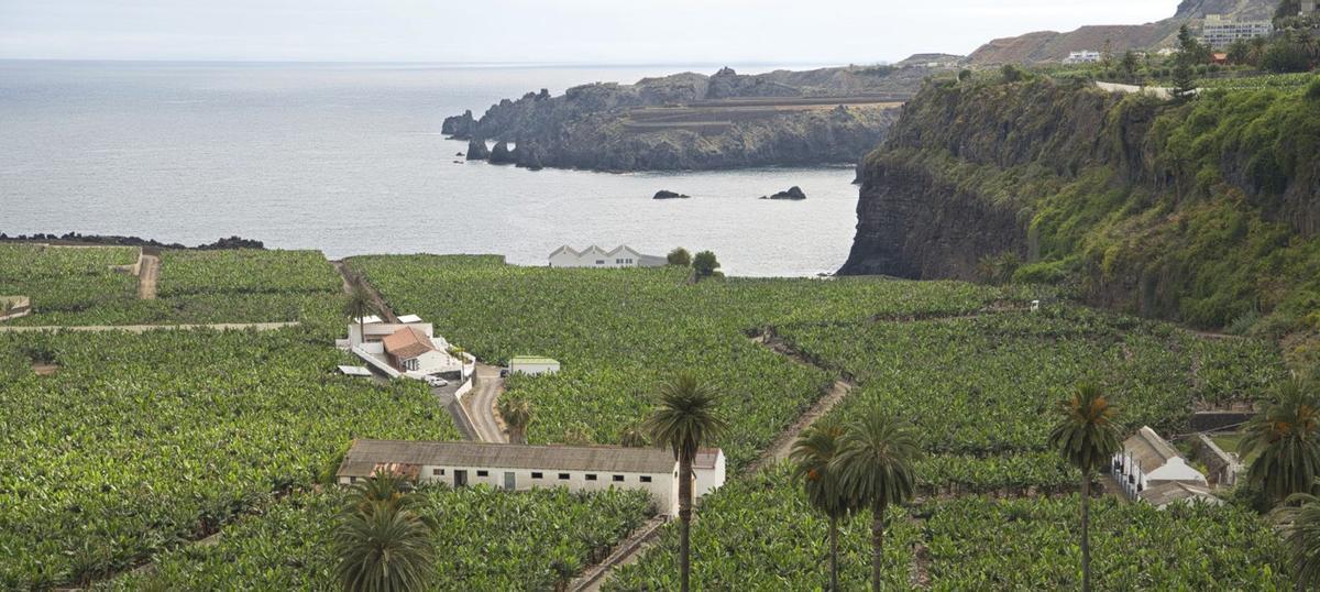 Zona de costas.| | ED/LOT