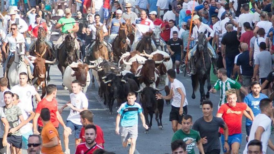 Centenares de personas se pusieron delante de las reses de la ganadería de Casa Bellón en el segundo encierro de las fiestas de Moratalla.