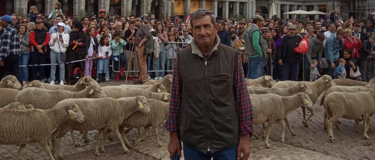 Santiago León Lucas acompaña a un rebaño durante el paso por Madrid para reivindicar la trashumancia