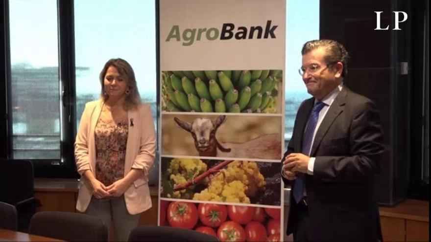 La Consejería de Agricultura del Gobierno de Canarias y Caixabank impulsan microcréditos de hasta 50 mil euros para el sector primario