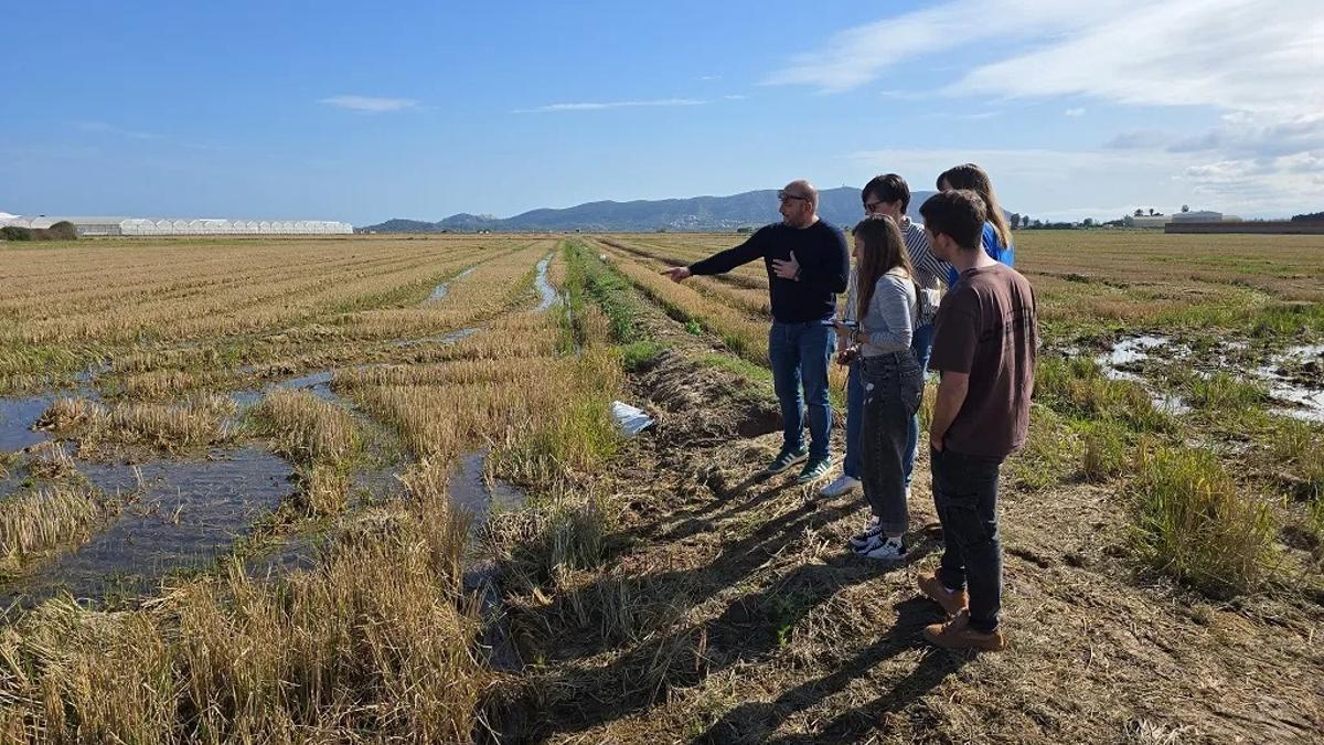 La palla de l’arròs se presenta com a solució eficient i sostenible per a la construcció i la rehabilitació.