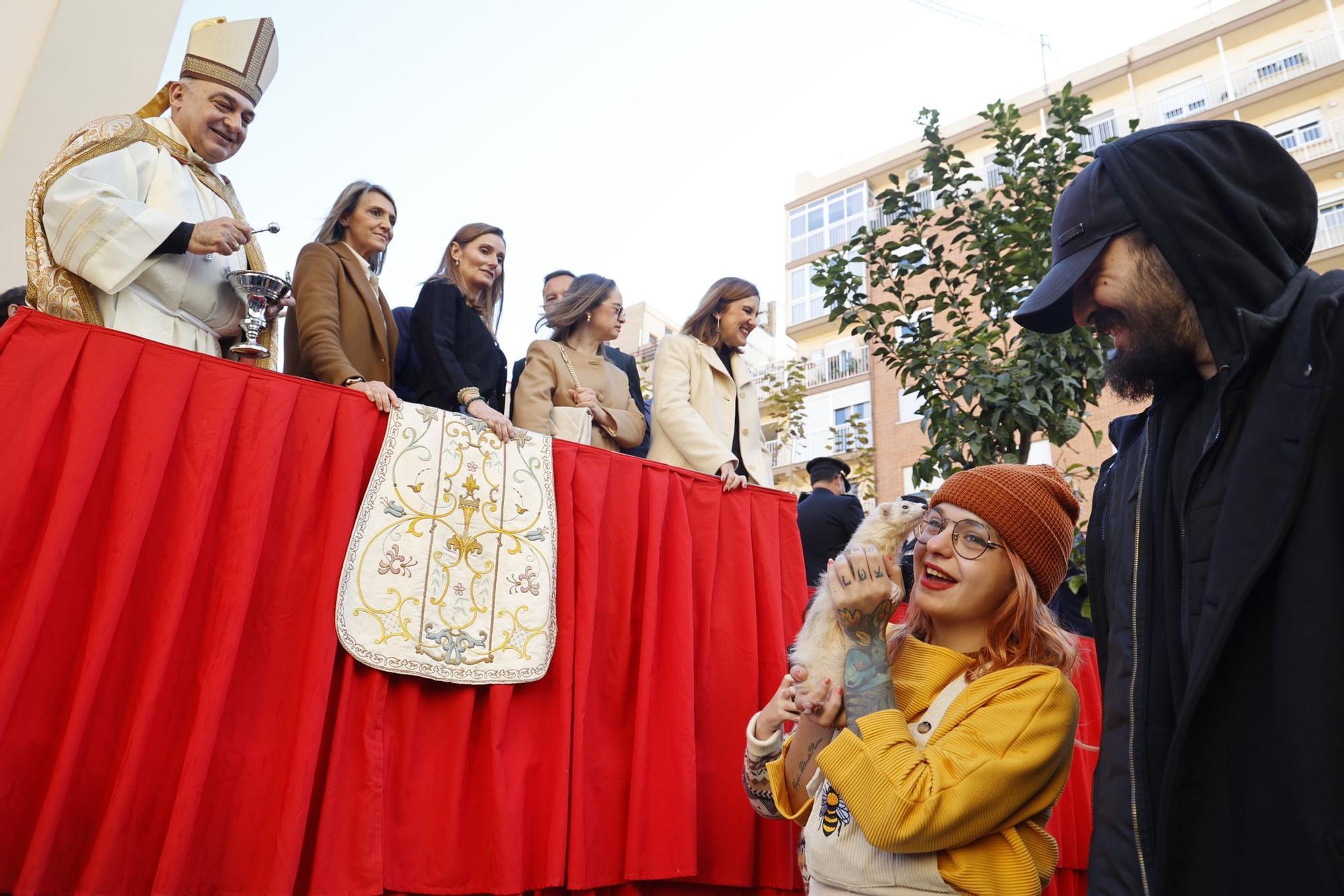 Búscate en la bendición de animales de Sant Antoni de València