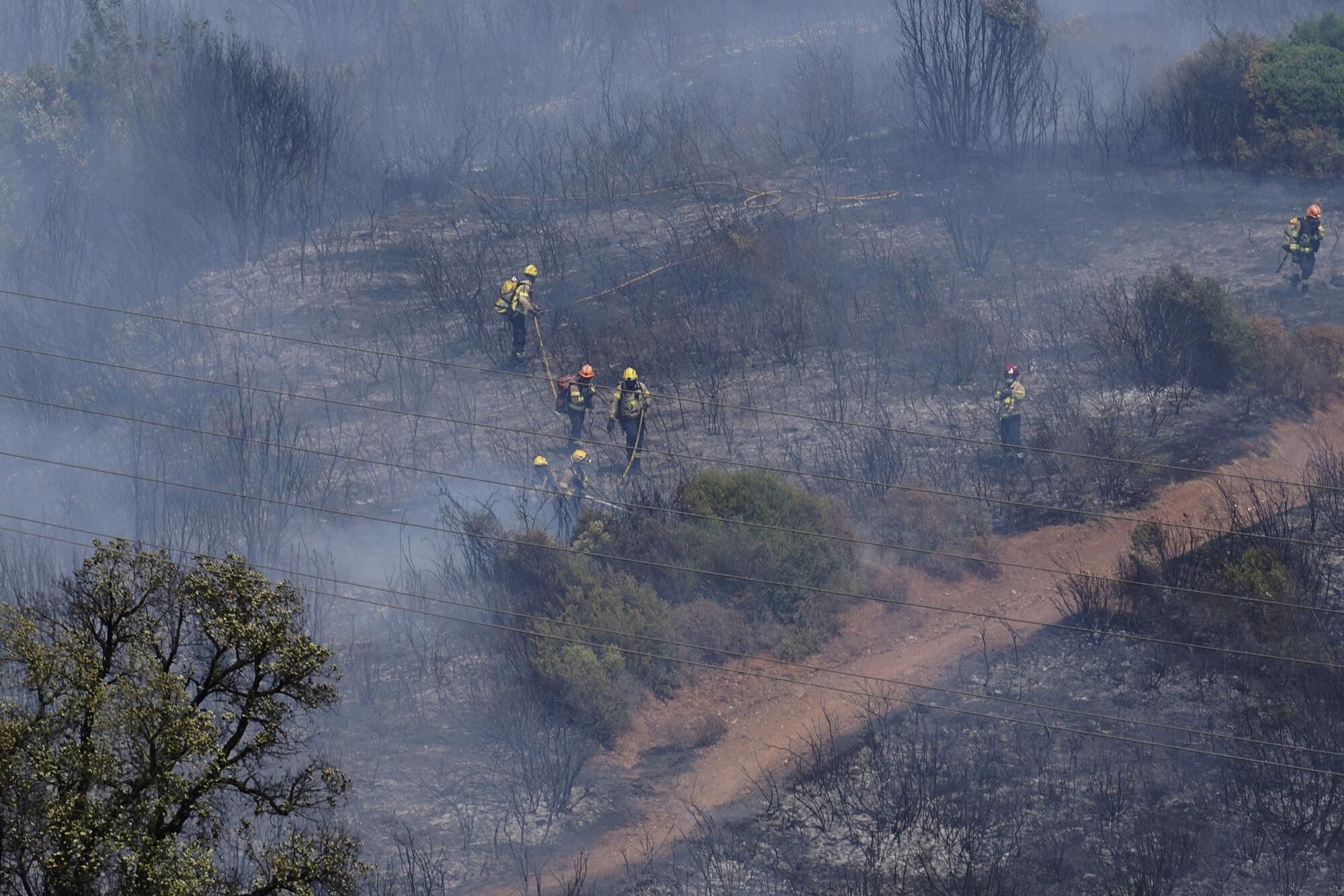 Girona zona boscosa font de la pólvora sant Daniel incendi forestal