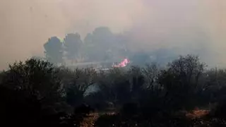 Els Bombers treballen en l'extinció d'un incendi a Ciutadilla que ja afecta 50 hectàrees