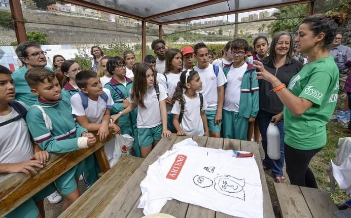 LAS PALMAS DE GRAN CANARIA A 05/06/2017. Día Mundial del Medio Ambiente. 100 escolares de varios colegios en las diferentes actividades de Centro Ambiental El Pambaso. FOTO: J.PÉREZ CURBELO