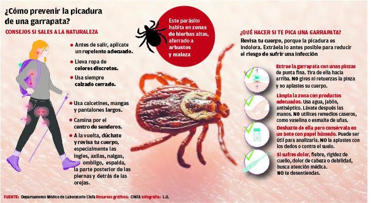 Las picaduras de garrapatas disparan las hospitalizaciones por la enfermedad de Lyme