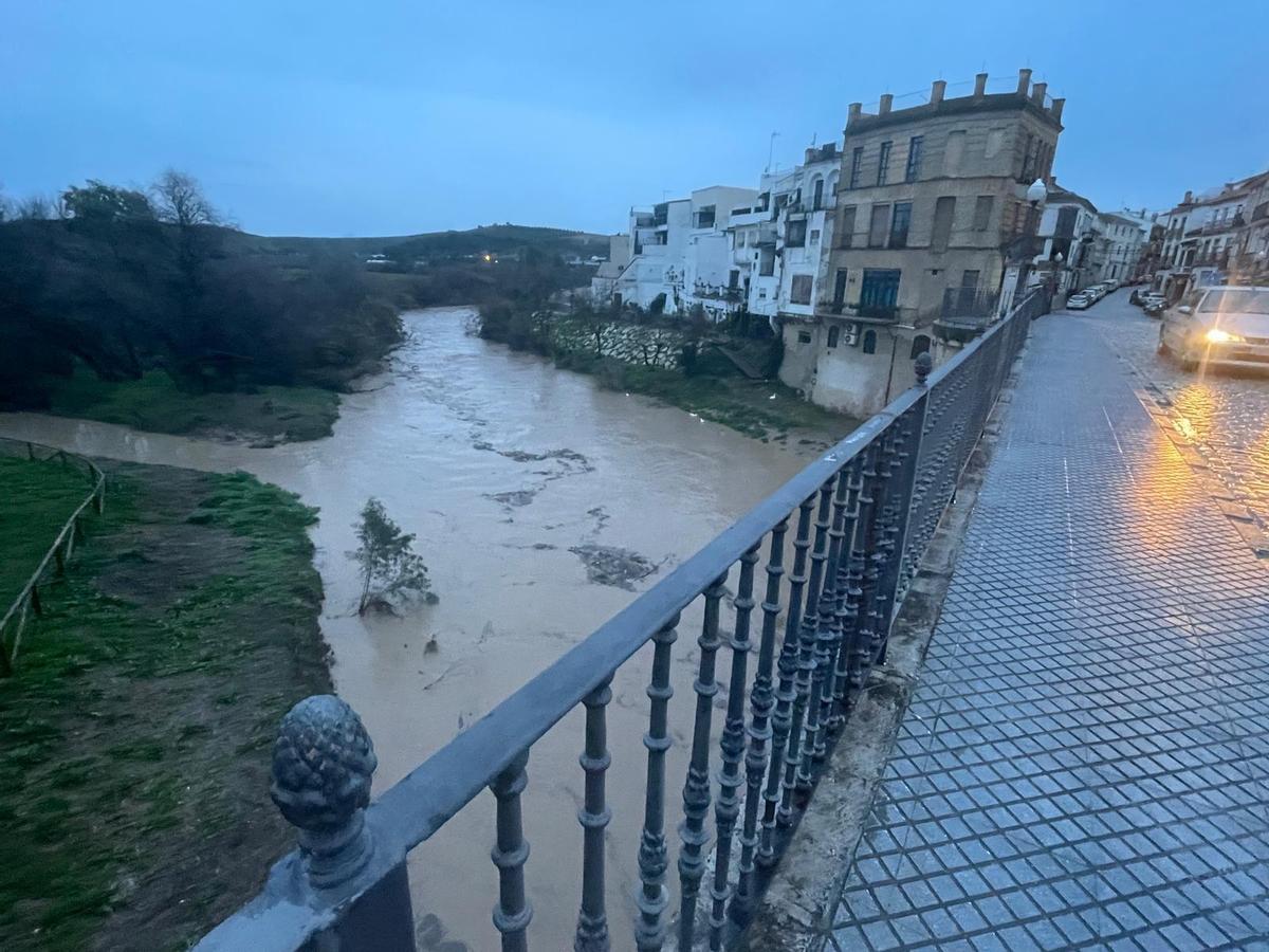 Imagen del río a su paso por Puente Genil.