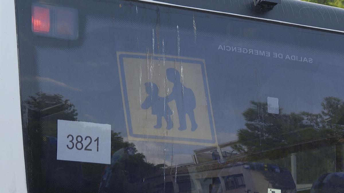 Un autobús de transporte escolar