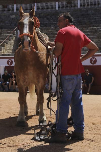 Demostración caballos de picar.