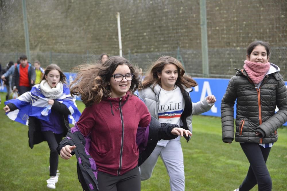 Colegio Fernández Latorre, en Escolas Branquiazuis