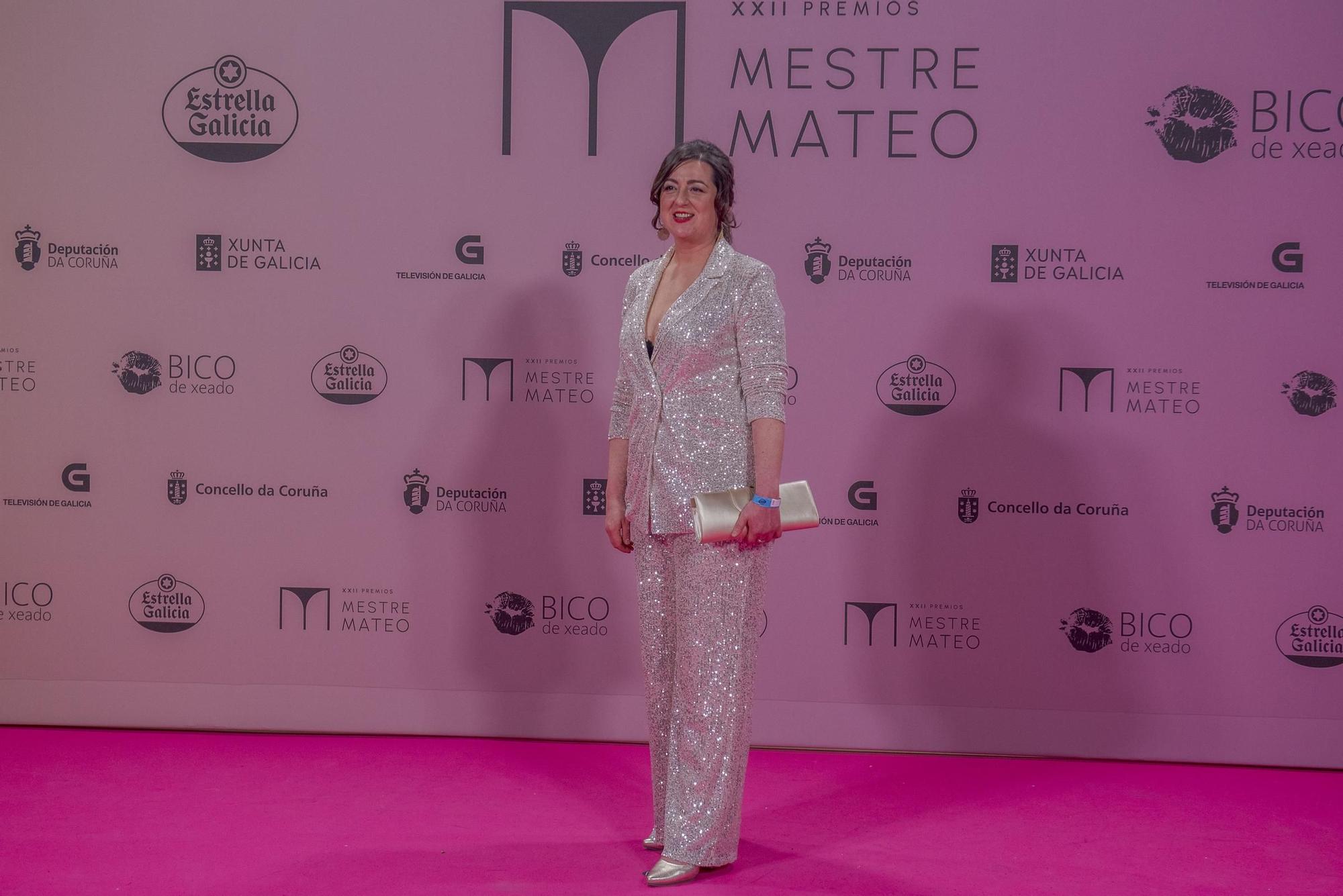 Gala dos premios Mestre Mateo 2024