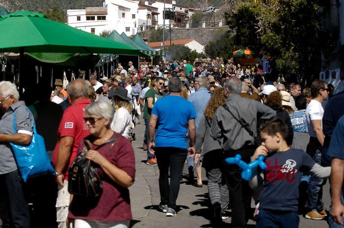 DIA DEL TURISTA. FIESTA DEL ALMENDRO EN FLOR EN ...