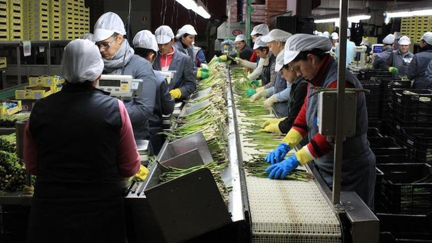 Trabajadores del espárrago reclaman su entrada en el Sistema Especial Agrario