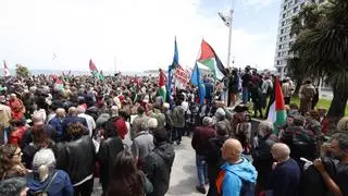 Gijón se vuelve a echar a la calle en apoyo a Palestina: "No es una guerra, es un genocidio"