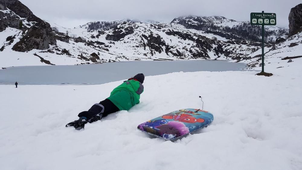Tras el temporal, decenas de familias acuden a los Lagos de Covadonga a disfrutar de la nieve.
