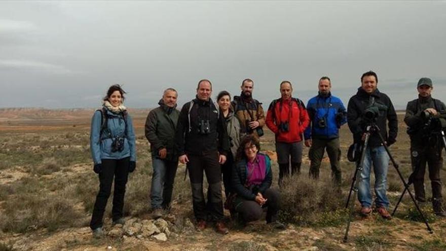 Varias actividades invitan a conocer las aves de El Planerón