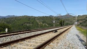 El fort vent obliga a suspendre la circulació de trens entre Figueres i Portbou