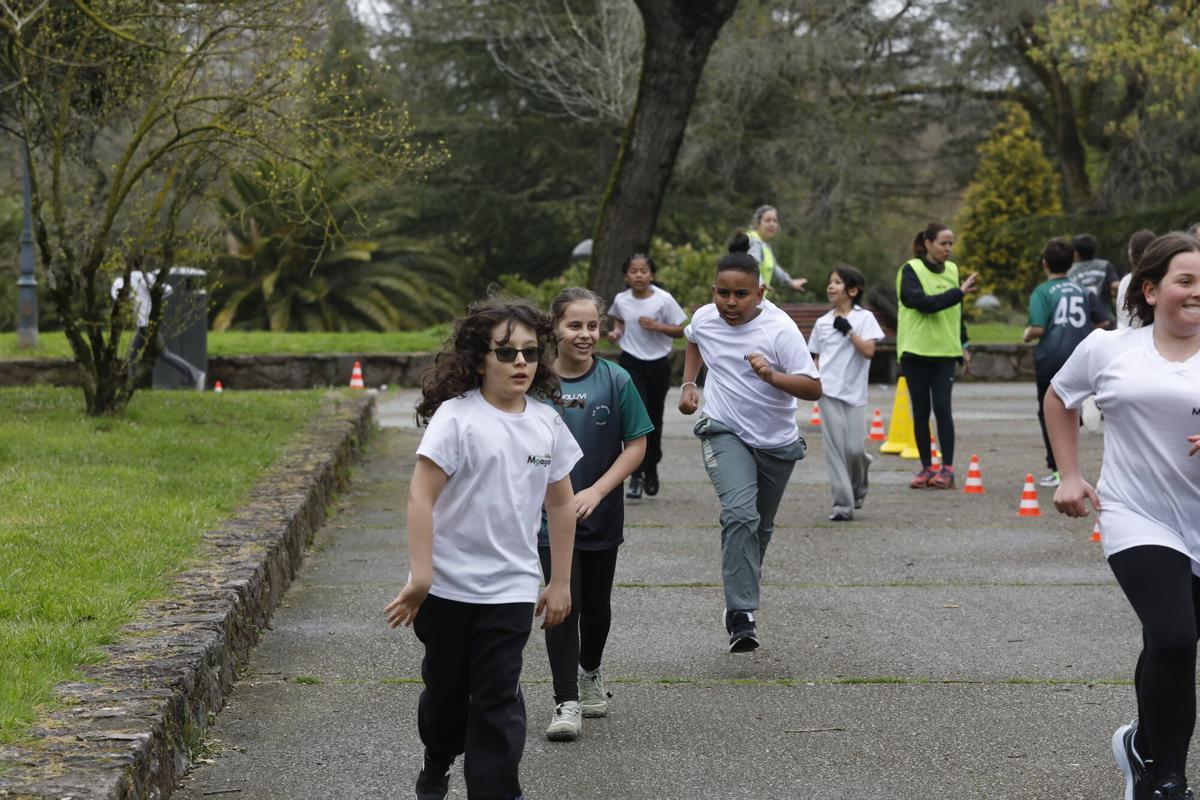 En imágenes: Participantes en la cross escolar del Marcelo Gago en homenaje a Dacal En imágenes: Participantes en la cross escolar del Marcelo Gago en homenaje a Dacal