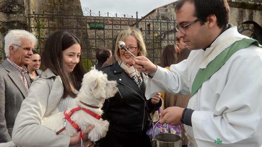 Santiago Telmo se ocupó de la tradicional bendición de las mascotas de San Antonio de este año. // N.P.