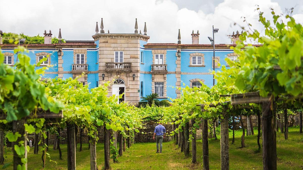 MEJOR BODEGA DE GALICIA | Una bodega gallega se cuela entre las 100 mejores del mundo para visitar MEJOR BODEGA DE GALICIA | Una bodega gallega se cuela entre las 100 mejores del mundo para visitar