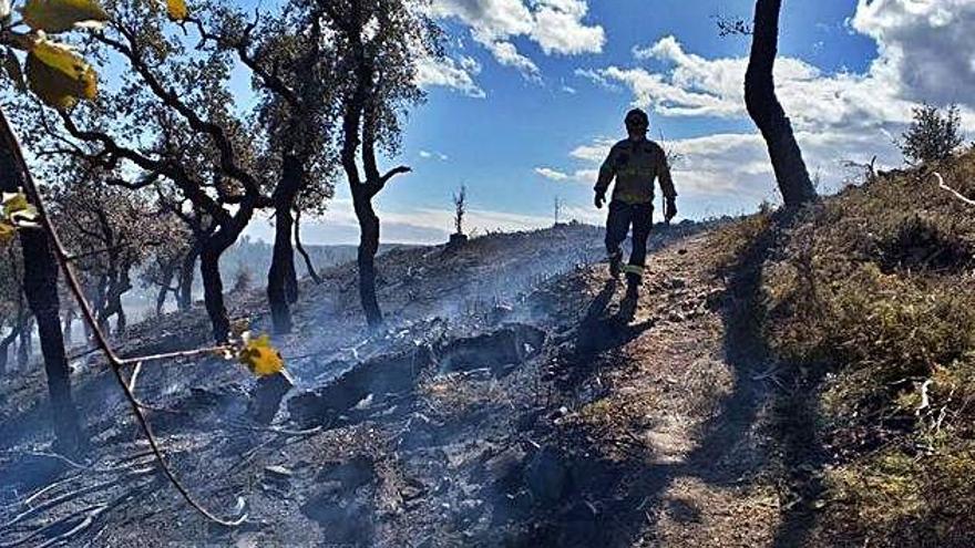 Els Bombers, treballant en l&#039;incendi forestal.