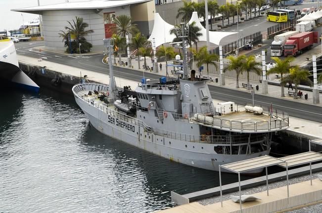 BARCOS TURISMO MUELLE SANTA CATALINA