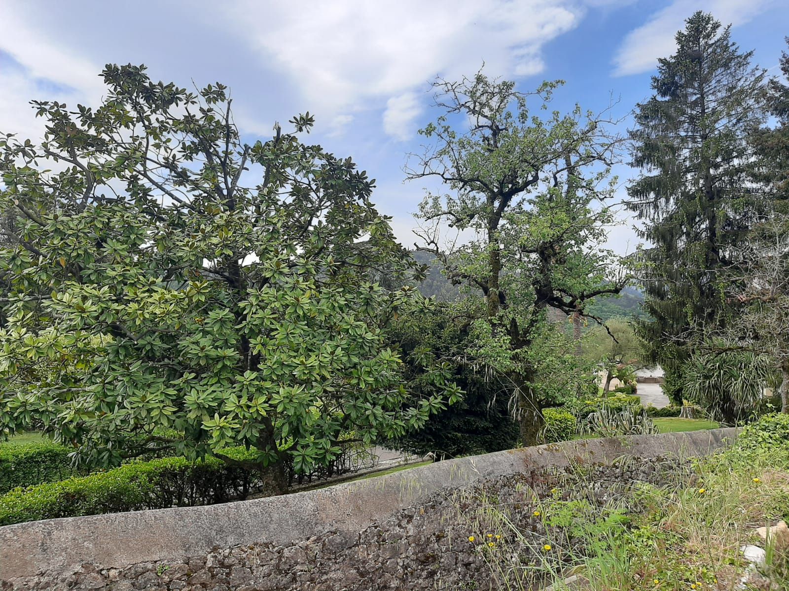 Así es Santa Cruz: la parroquia de altura y musical